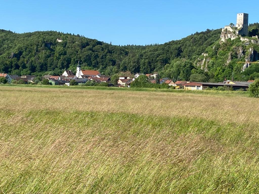 Ferienwohnung Im Wunderschoenen Altmuehltal Wellheim 외부 사진
